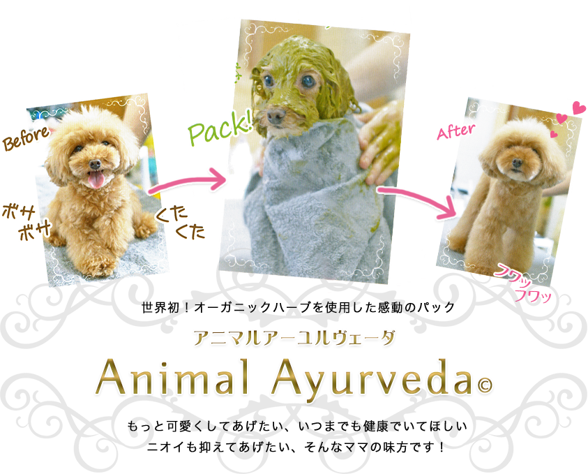 アニマル アーユルヴェーダ